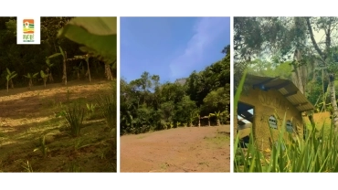Sitio Semear | Marsilac | RP-UPCR-0024